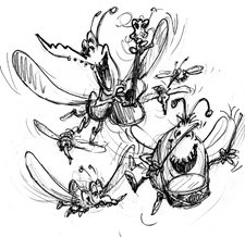 bug cartoon