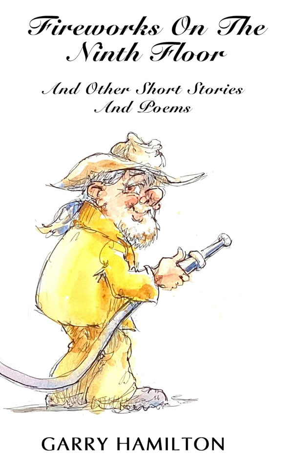 Fireworks On The Ninth Floor 1